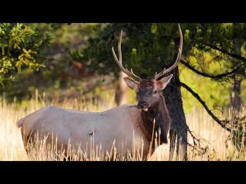 Bild på anläggning