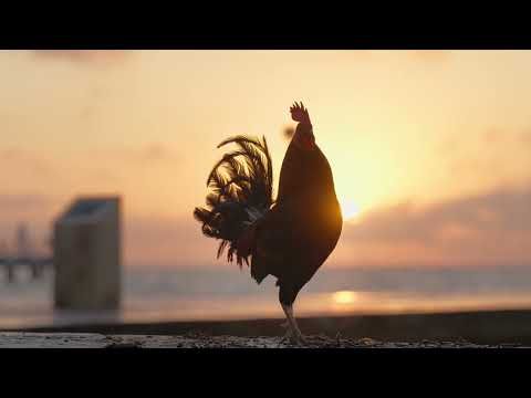 Afbeelding van locatie