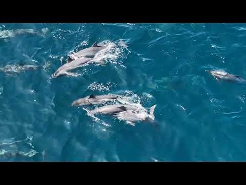 Bild på anläggning