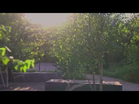 Tapahtumapaikan kuva