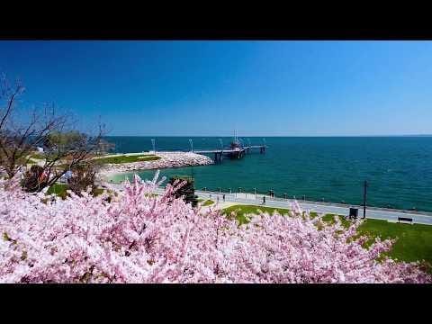 Изображение места проведения