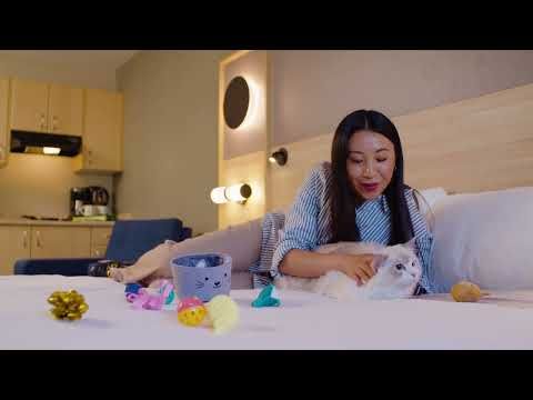 Bild på anläggning