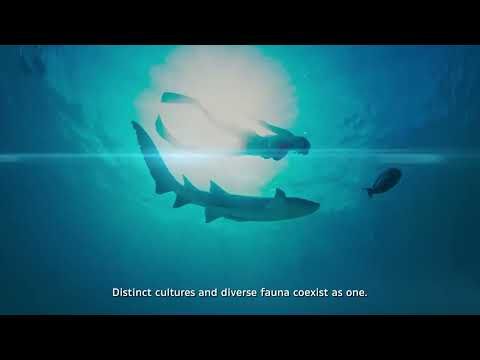 Изображение места проведения