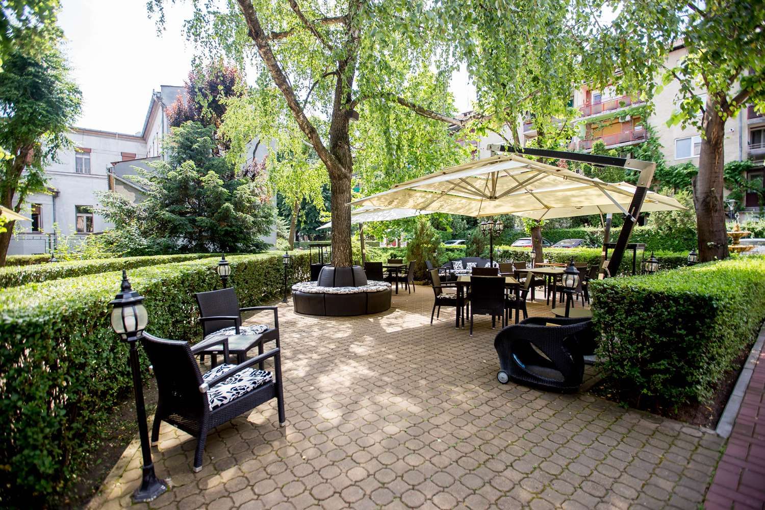 Изображение места проведения