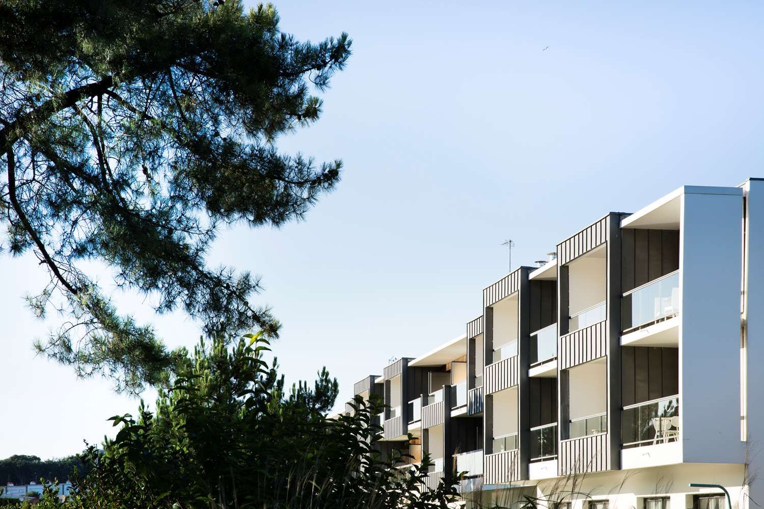 Изображение места проведения