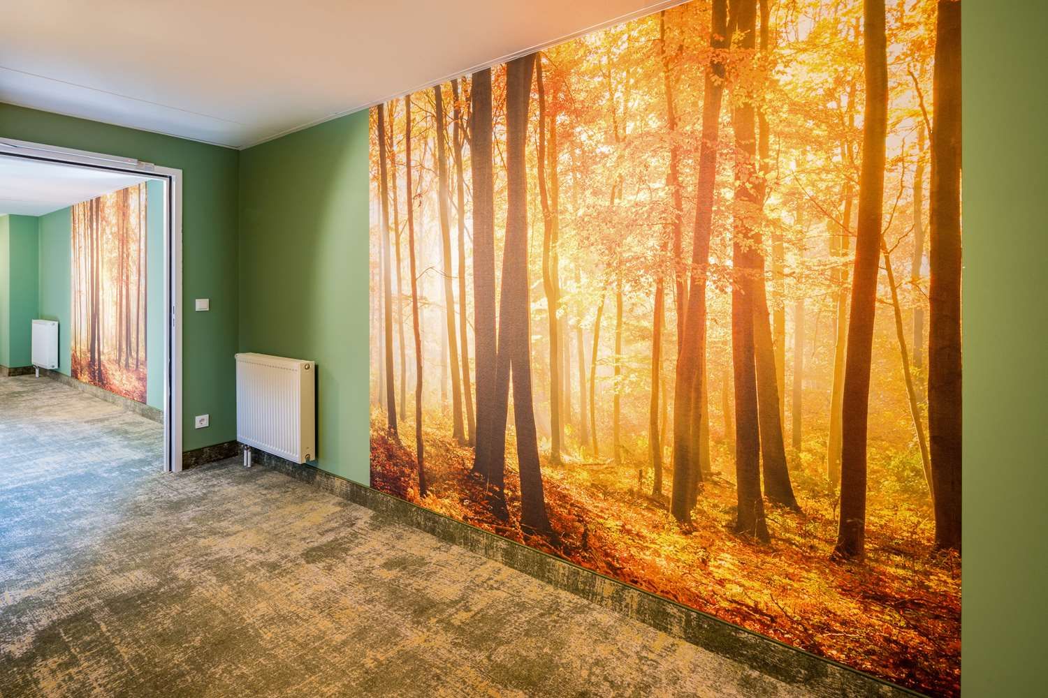 Изображение места проведения