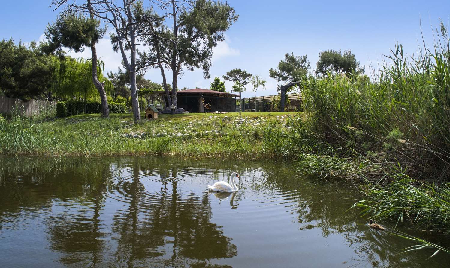 Изображение места проведения