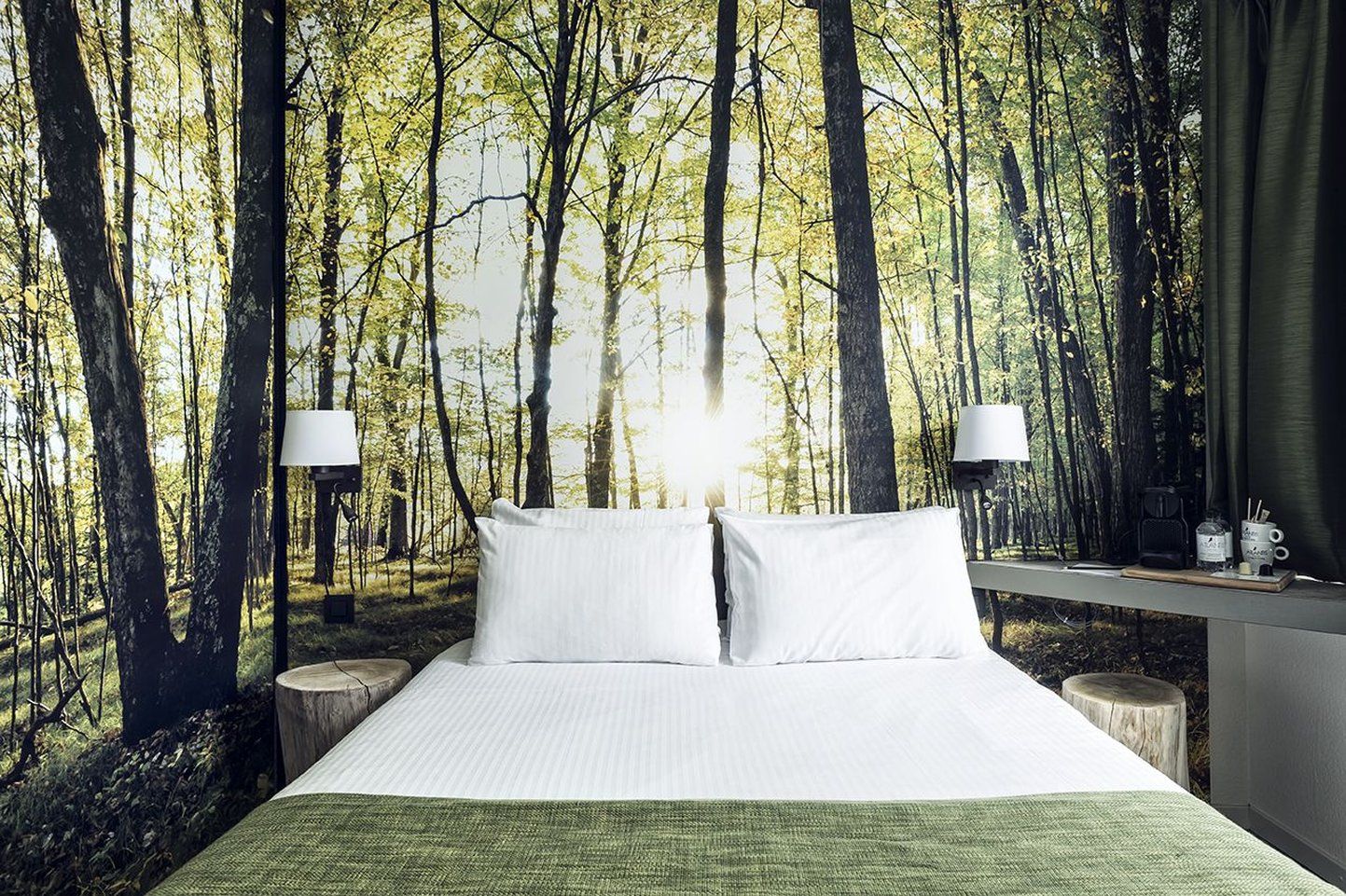 Изображение места проведения