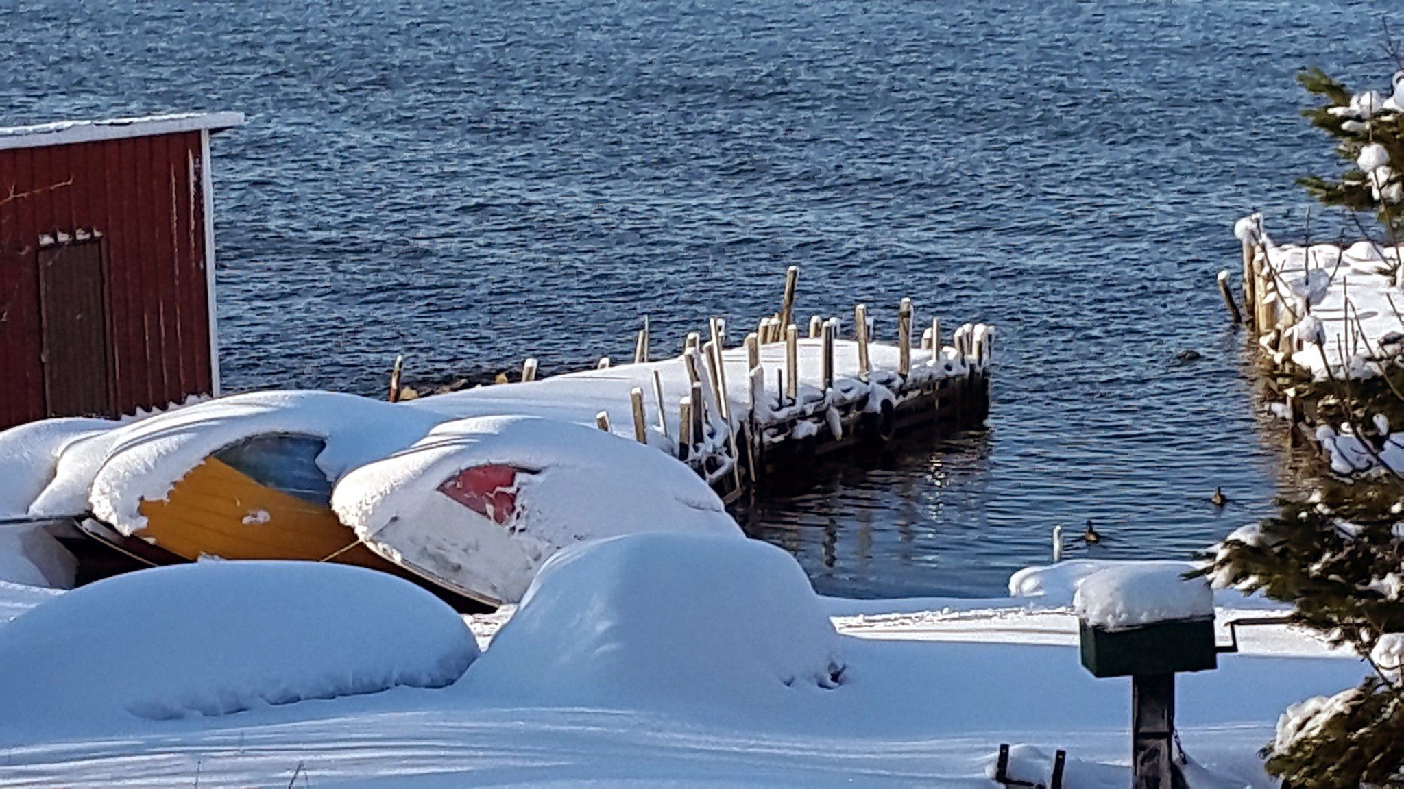 Изображение места проведения