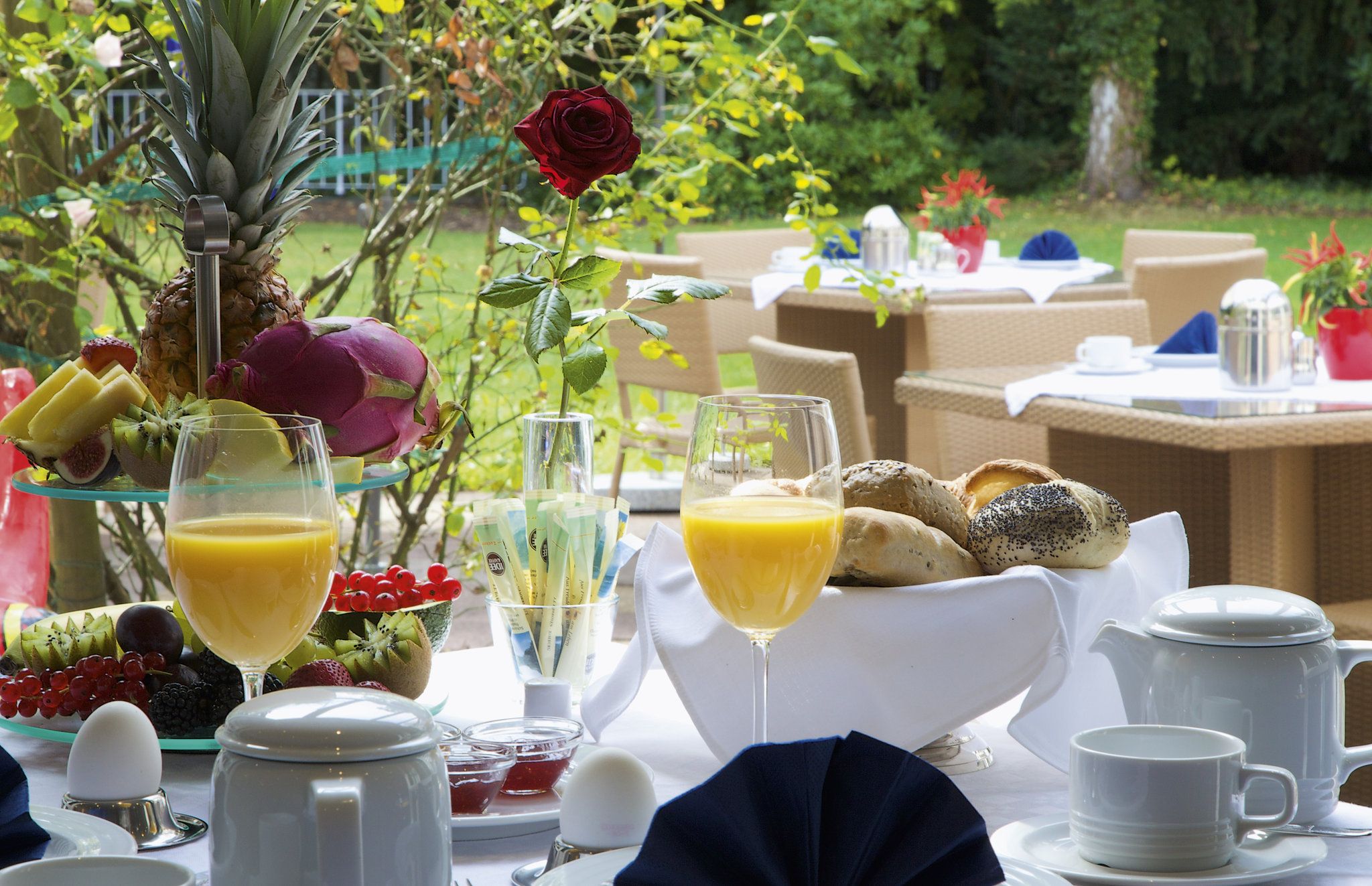 Изображение места проведения