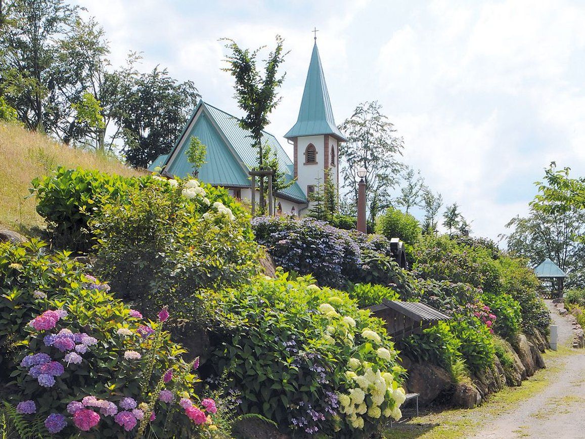 Bild des Veranstaltungsortes