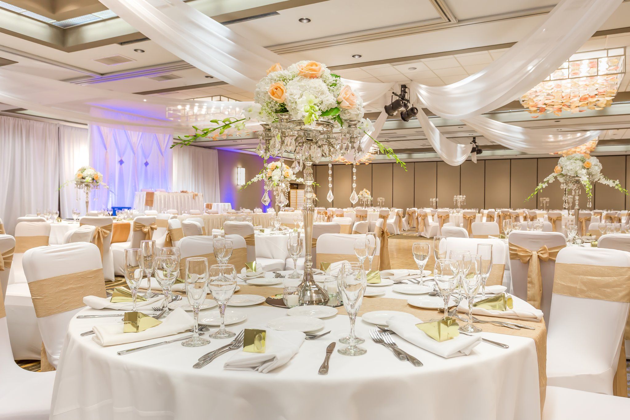 Изображение места проведения