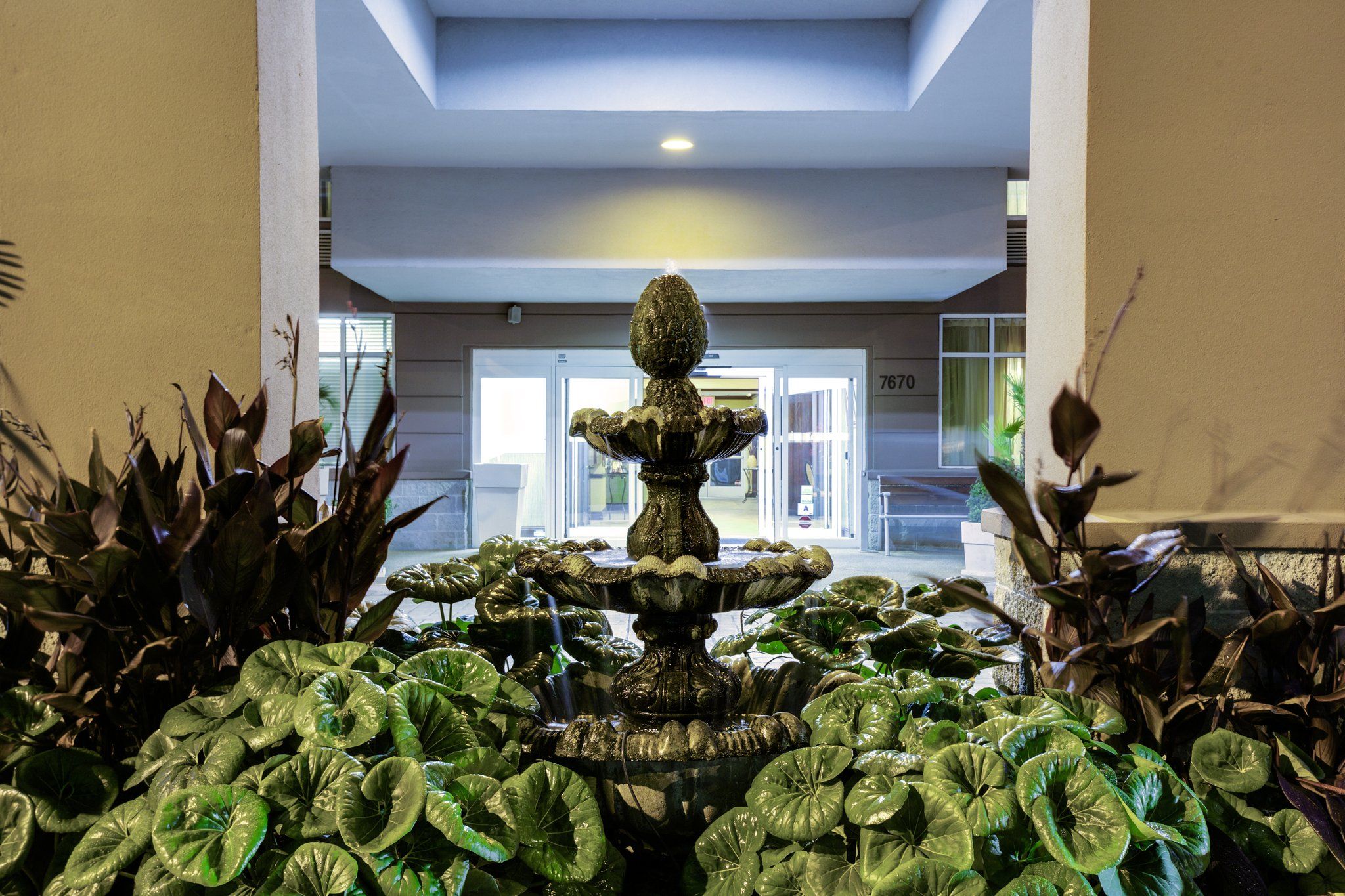 Изображение места проведения