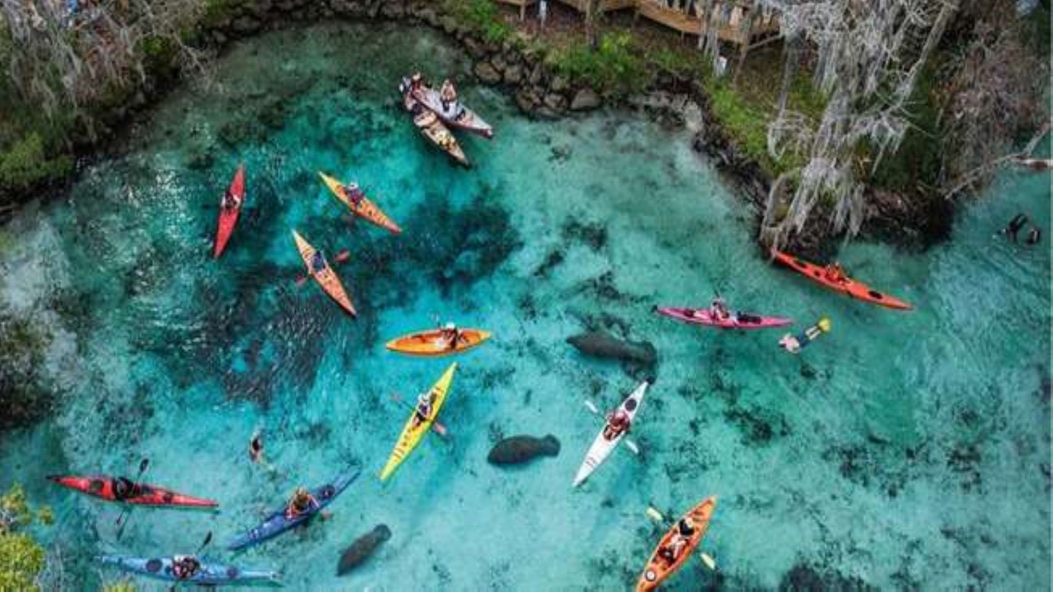 Изображение места проведения
