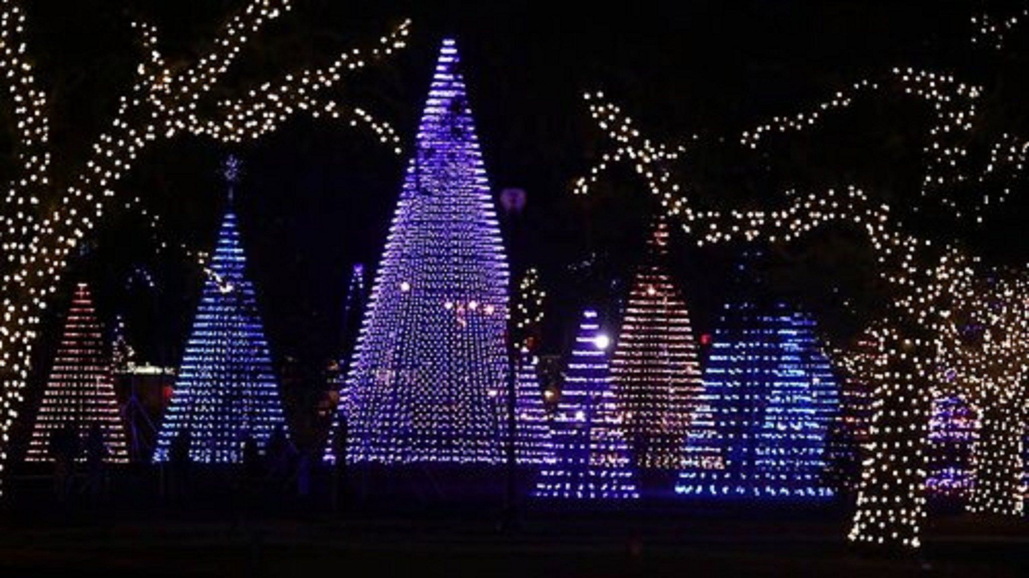 Изображение места проведения