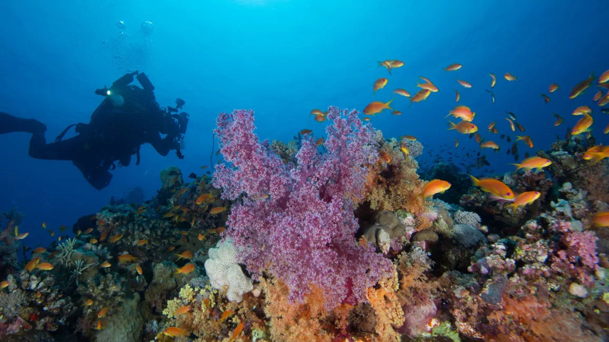 Изображение места проведения