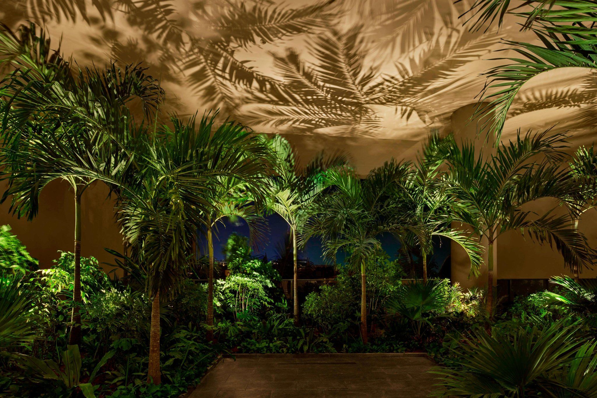 Изображение места проведения