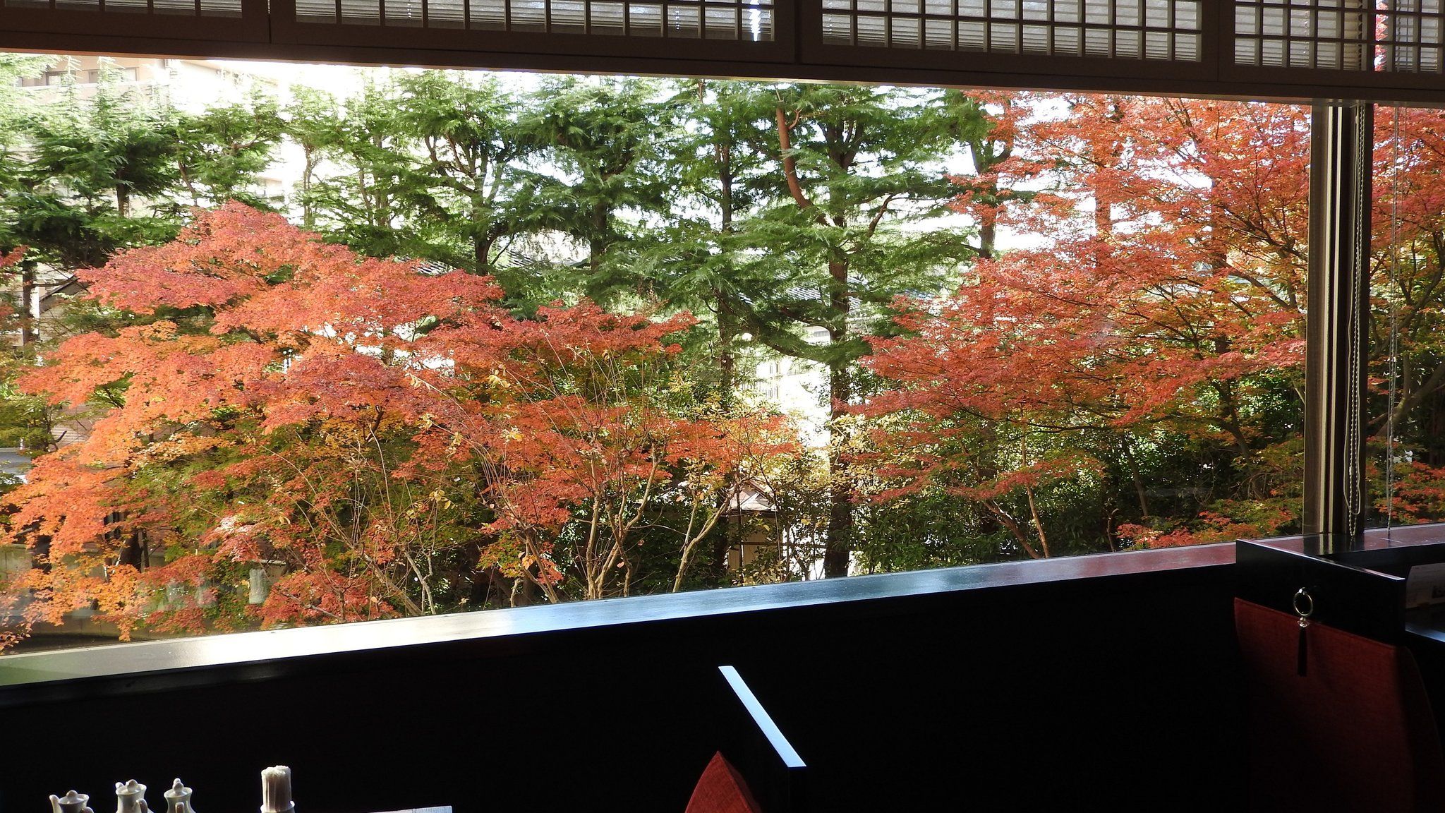 Изображение места проведения