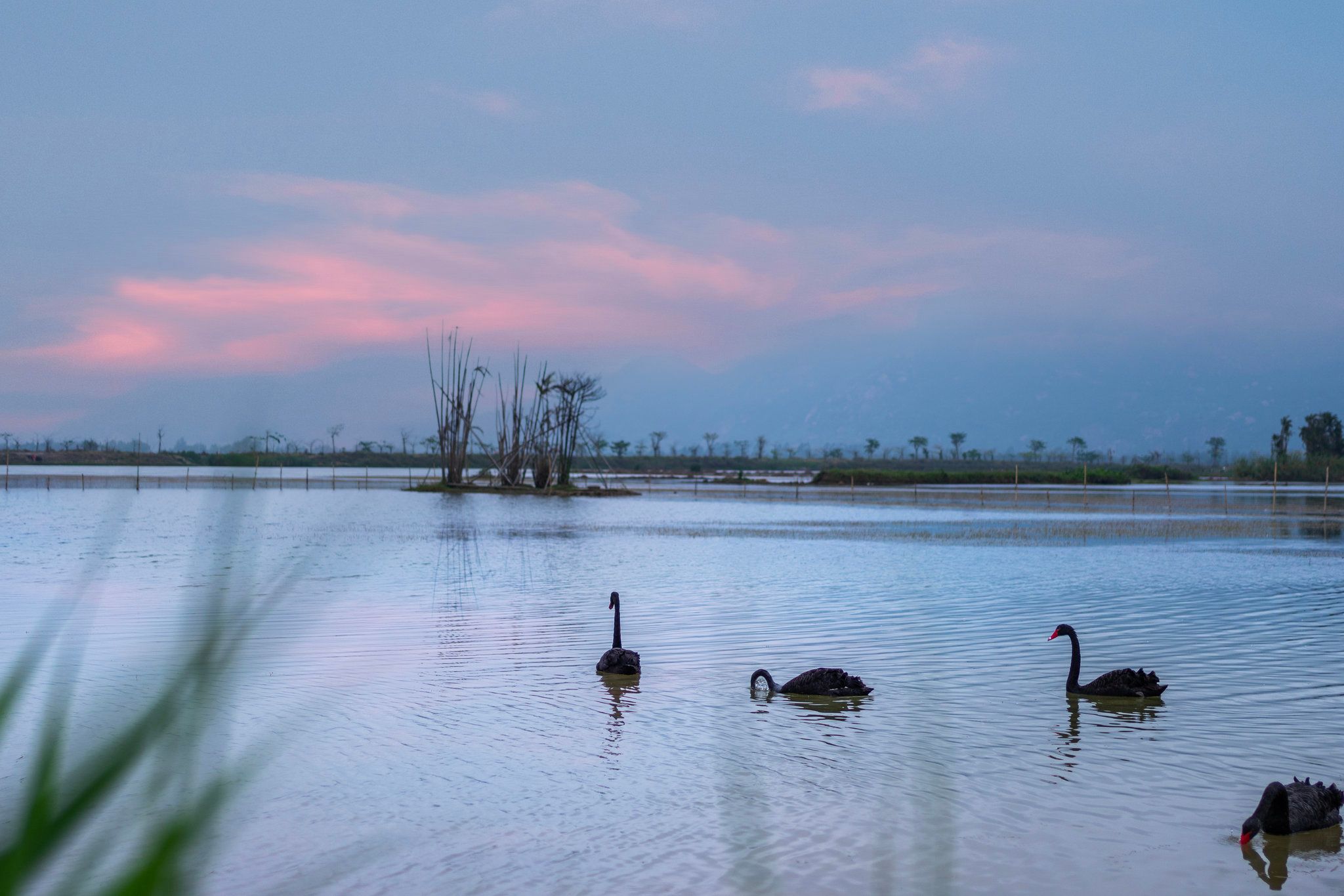Изображение места проведения
