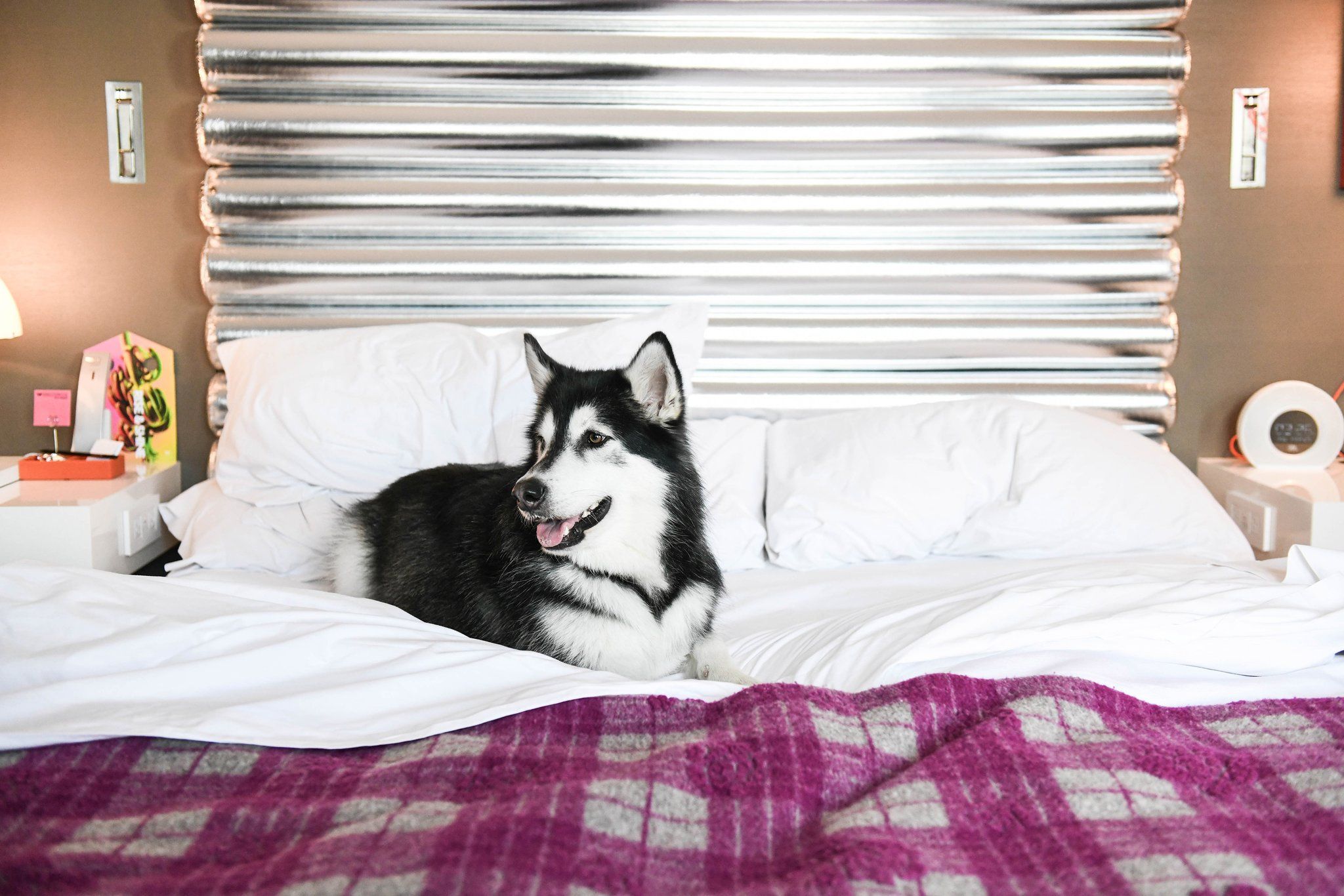 Изображение места проведения