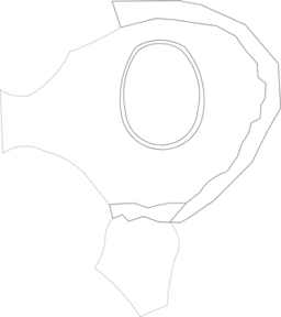 Social Lawn 下载 PDF