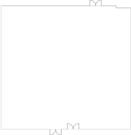 Belmont 7 Baixar PDF