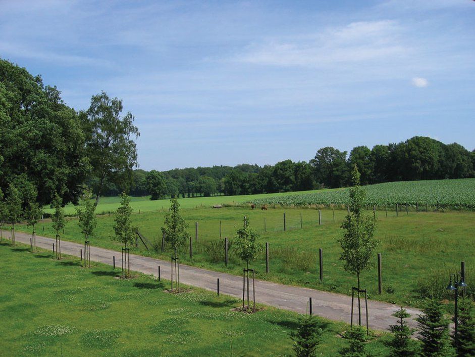 Изображение места проведения