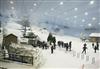 Ski Dubai & Mall of the Emirates