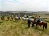 Adventure Horseback Riding