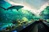 Ripley's Aquarium of Canada