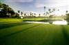 Campo de golf The Palms