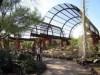 Desert Botanical Gardens