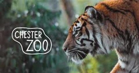 Chester Zoo