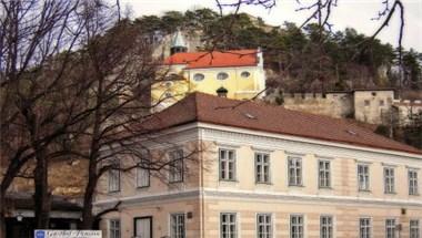 Leopold Manhalter image