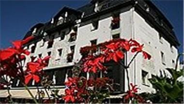 Rheinhotel Lamm image
