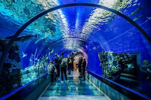 Ripley's Aquarium of Canada