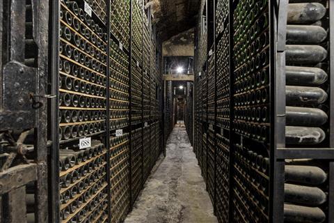 ACTIVITIES & ATTRACTIONS