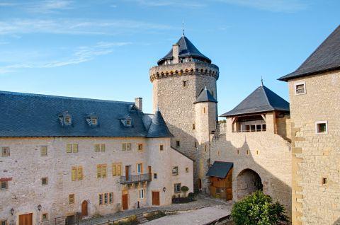 Chateau de Malbrouck (Castle)
