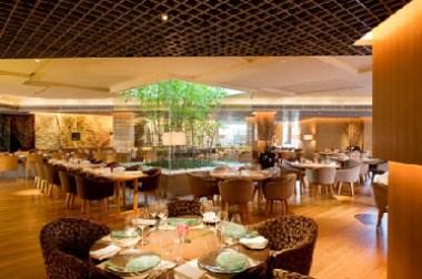 SET'Z в New Delhi, IN