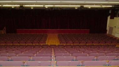 Festival Hall в Petersfield, GB1