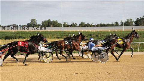 Running Aces Harness Park