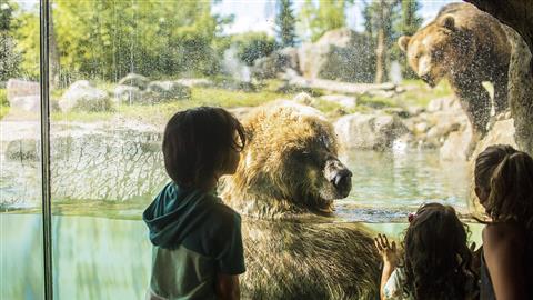 Zoológico de Minnesota