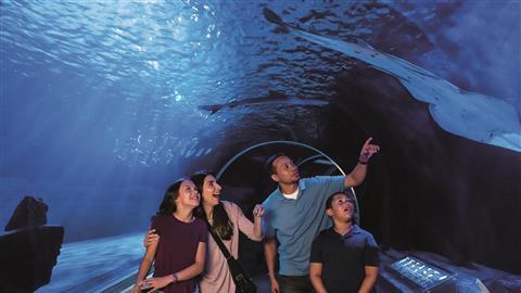 SEA LIFE en el Mall of America