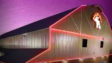 Dallas Bull en Tampa, FL