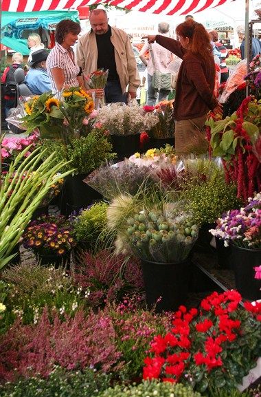 Bild des Veranstaltungsortes