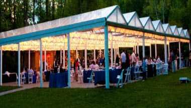 Shade Trees and Evergreens en Frederick, MD