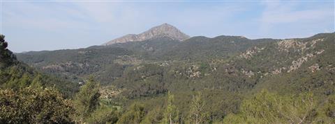 Naturpark Puig de Galatzó