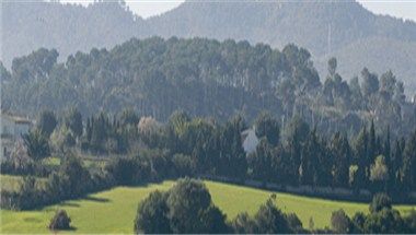 Изображение места проведения