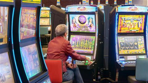 Pista de arnés Red Mile