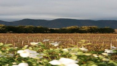 Bild des Veranstaltungsortes